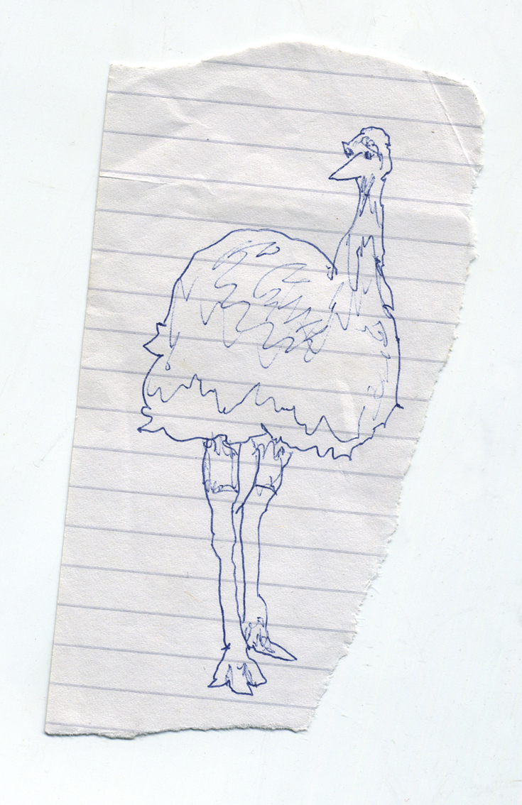 Emu, pen on paper
