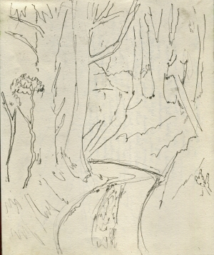 Trees on a bend, near Stroud, pencil on paper