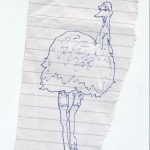 Emu, pen on paper